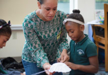 Copy of Parent Volunteer 1